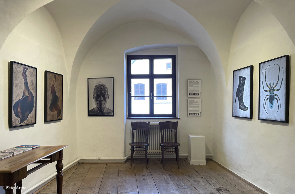 Tag der offenen Ateliers 2025 1